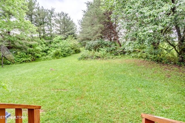 375 Rainbow Rd, Sevierville, TN 37862 - view of yard