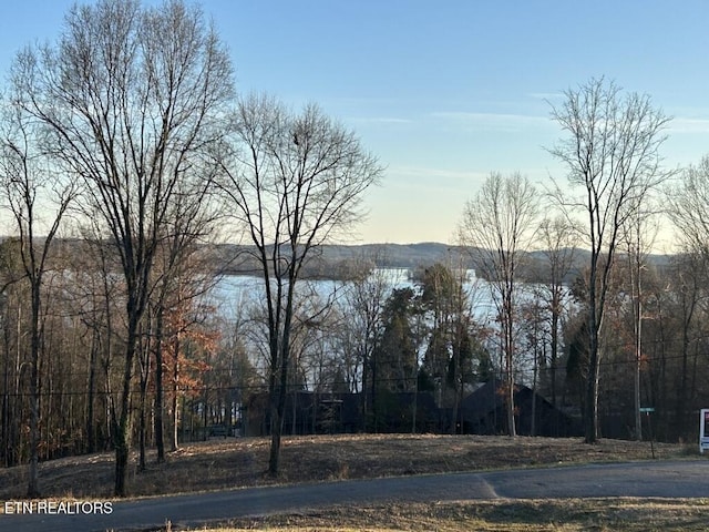 water view
