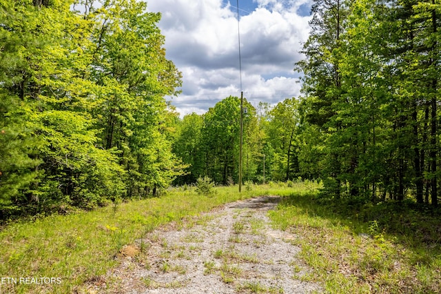 Vista Dr, Spring City, TN 37381