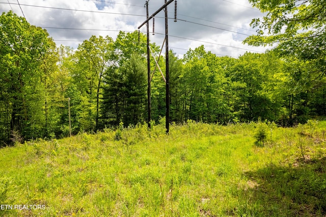 Vista Dr, Spring City, TN 37381