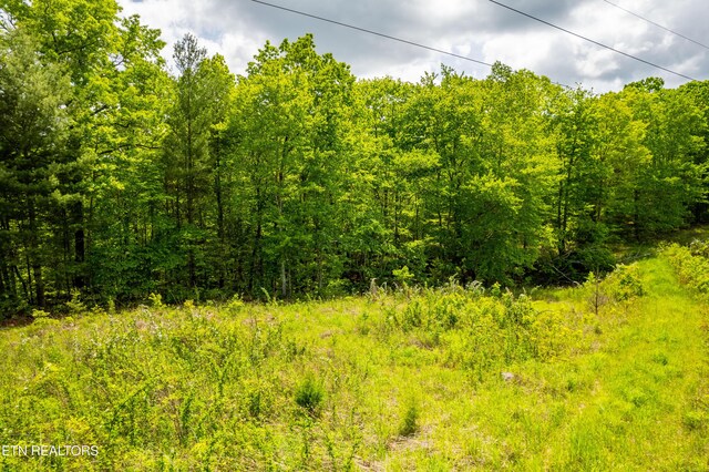 Vista Dr, Spring City, TN 37381