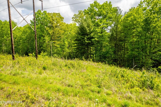 Vista Dr, Spring City, TN 37381
