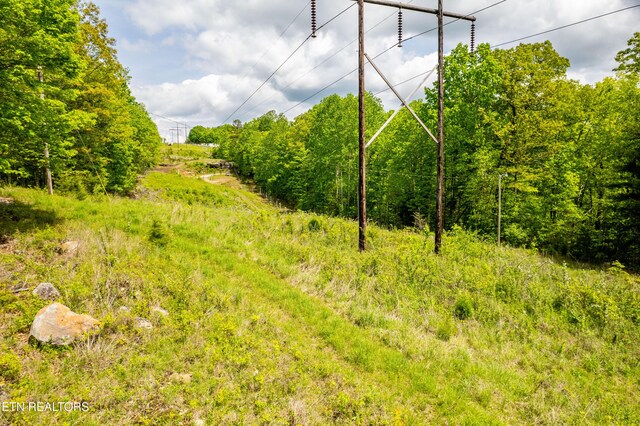 Vista Dr, Spring City, TN 37381