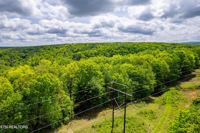 Vista Dr, Spring City, TN 37381