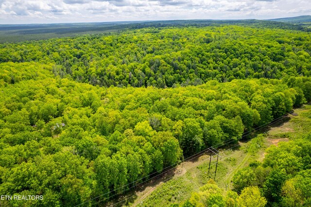 Vista Dr, Spring City, TN 37381