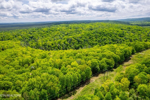 Vista Dr, Spring City, TN 37381