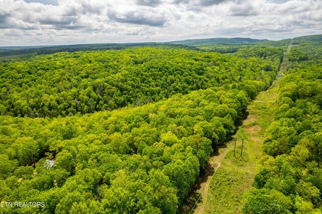 Vista Dr, Spring City, TN 37381
