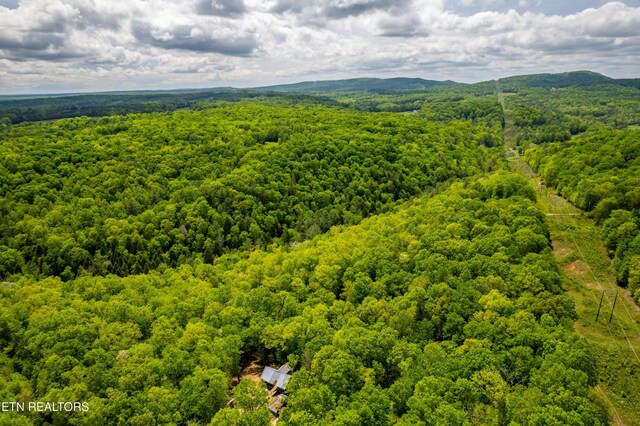 Vista Dr, Spring City, TN 37381