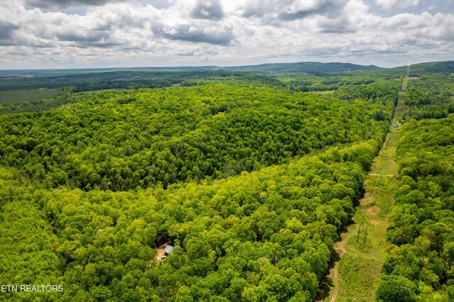 Vista Dr, Spring City, TN 37381