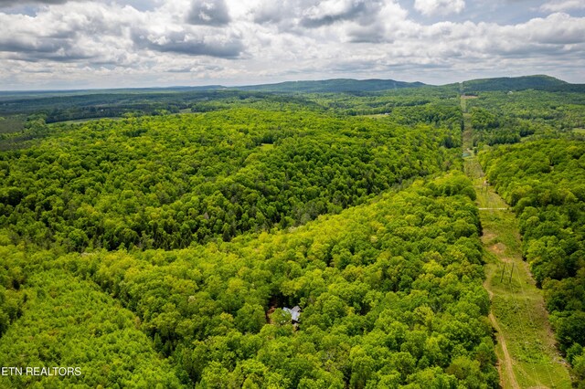 Vista Dr, Spring City, TN 37381