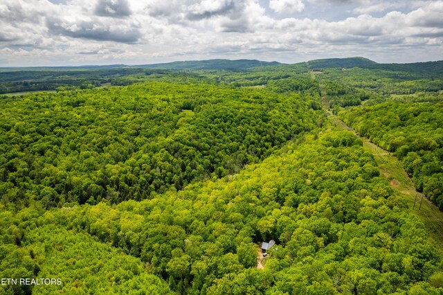 Vista Dr, Spring City, TN 37381