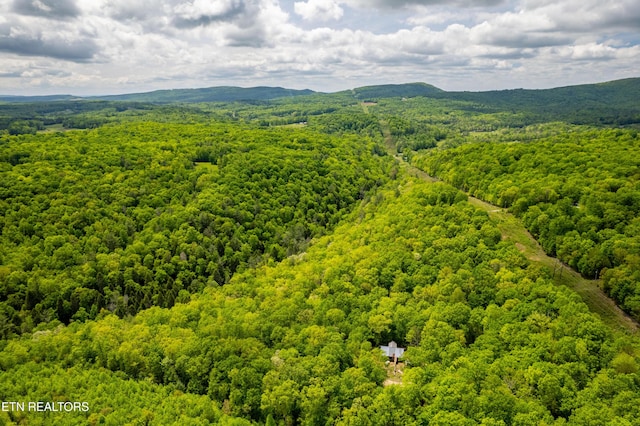 Vista Dr, Spring City, TN 37381