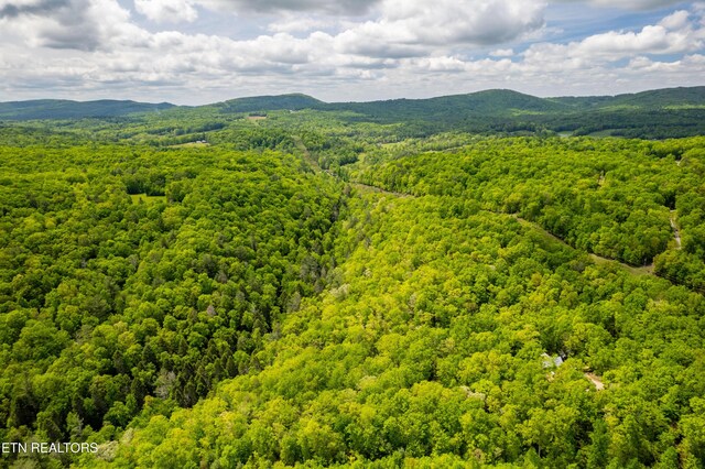 Vista Dr, Spring City, TN 37381
