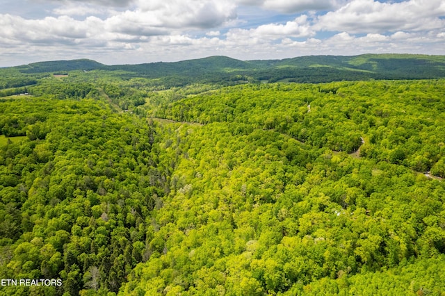 Vista Dr, Spring City, TN 37381