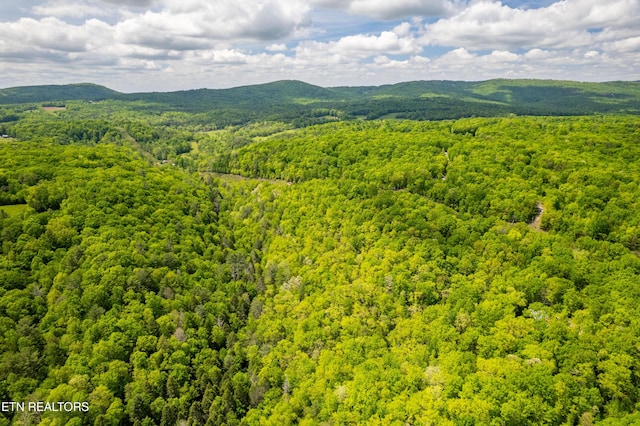 Vista Dr, Spring City, TN 37381