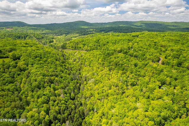 Vista Dr, Spring City, TN 37381