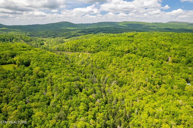 Vista Dr, Spring City, TN 37381