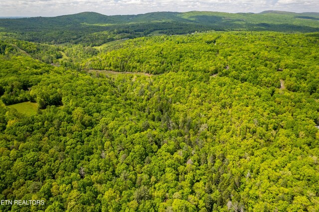 Vista Dr, Spring City, TN 37381