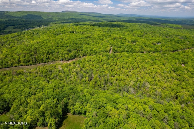 Vista Dr, Spring City, TN 37381