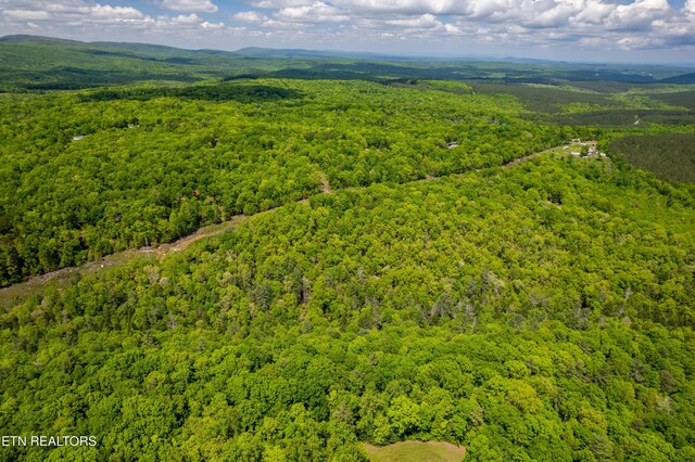 Vista Dr, Spring City, TN 37381