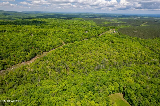 Vista Dr, Spring City, TN 37381