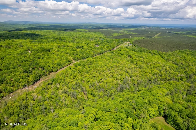 Vista Dr, Spring City, TN 37381