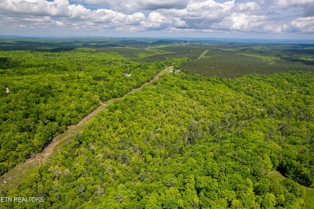 Vista Dr, Spring City, TN 37381