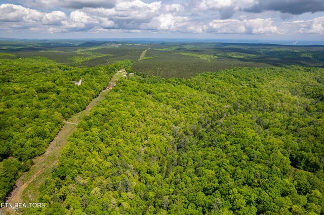 Vista Dr, Spring City, TN 37381