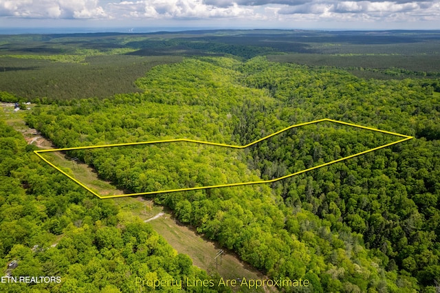 Vista Dr, Spring City, TN 37381