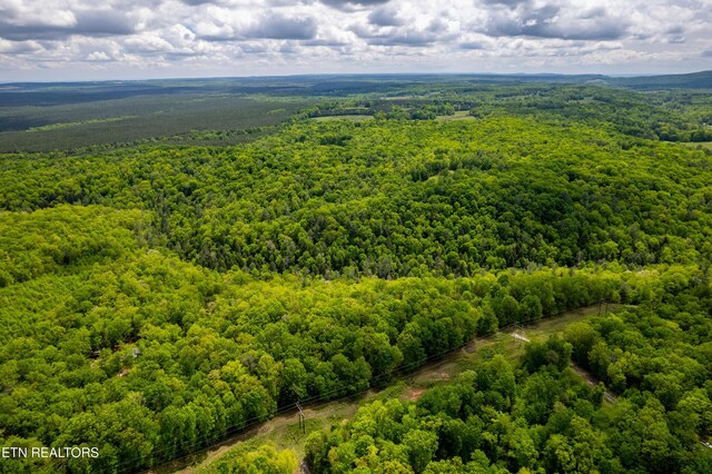 Vista Dr, Spring City, TN 37381