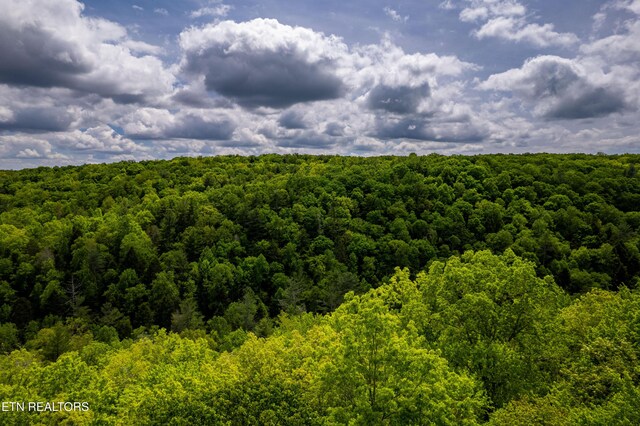 Vista Dr, Spring City, TN 37381