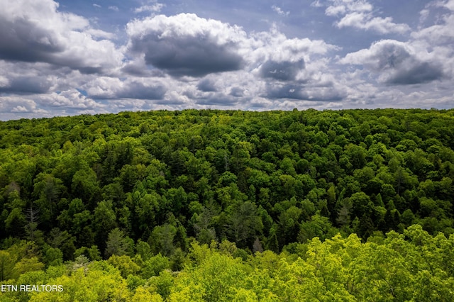 Vista Dr, Spring City, TN 37381