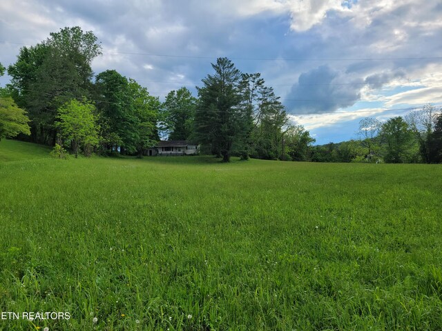 Indian Gap Rd, Andersonville, TN 37705 - photo 10
