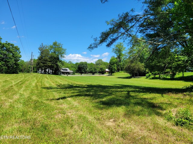Indian Gap Rd, Andersonville, TN 37705 - photo 9