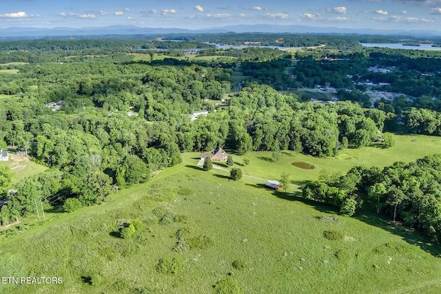2000 Robinson Dr, Lenoir City, TN 37772 - bird's eye view of a forest