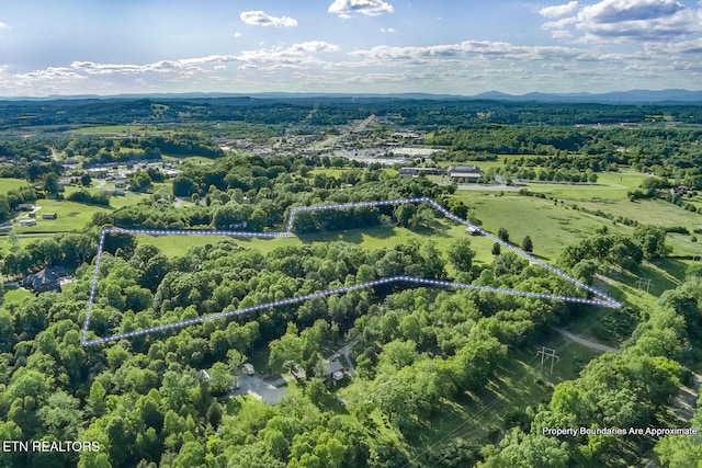 2000 Robinson Dr, Lenoir City, TN 37772 - aerial view of property and surrounding area with property boundaries highlighted