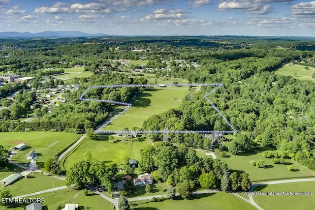 2000 Robinson Dr, Lenoir City, TN 37772 - view of property location with property boundaries highlighted and a heavily wooded area