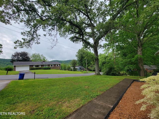 view of yard with aphalt driveway