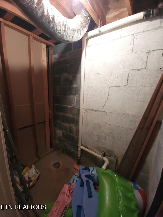 unfinished below grade area with concrete block wall