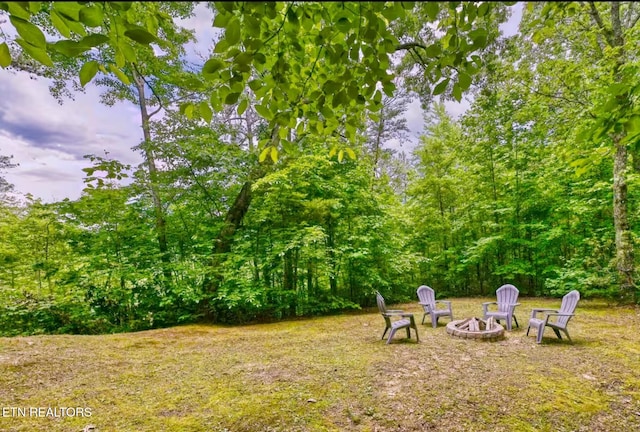 1227 Bear Paw Ridge Way, Sevierville, TN 37862 - photo 29