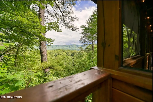 1227 Bear Paw Ridge Way, Sevierville, TN 37862 - photo 26