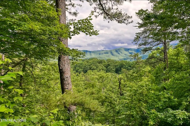 1227 Bear Paw Ridge Way, Sevierville, TN 37862 - photo 27