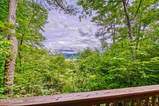 1227 Bear Paw Ridge Way, Sevierville, TN 37862 - photo 28