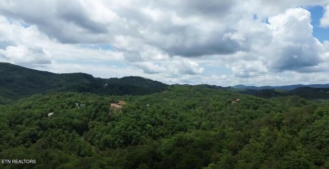 1227 Bear Paw Ridge Way, Sevierville, TN 37862 - photo 14
