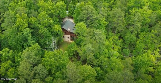 1227 Bear Paw Ridge Way, Sevierville, TN 37862 - photo 15