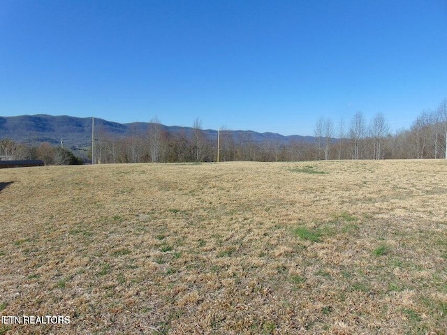 309 Elizabeth Russell Ln, Speedwell, TN 37870 - view of mountain feature featuring a rural view
