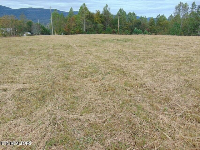 309 Elizabeth Russell Ln, Speedwell, TN 37870 - exterior space with a rural view, a forest view, and a mountain view