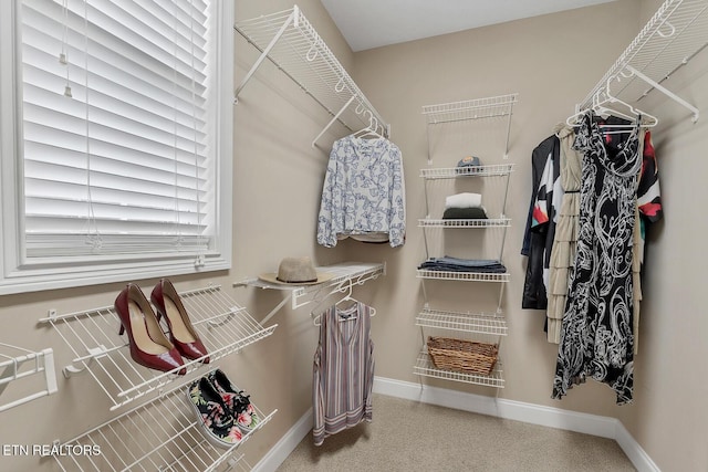view of walk in closet