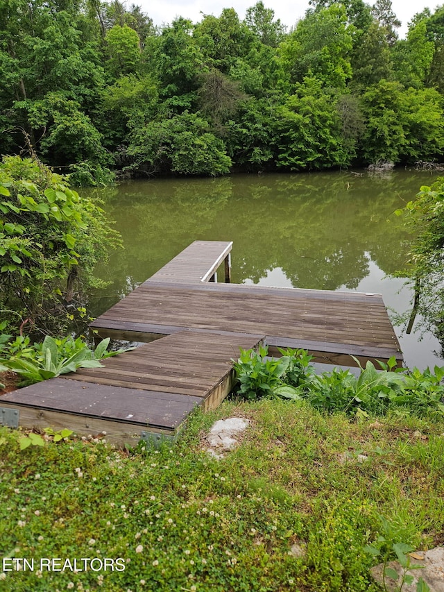 dock area featuring a water view