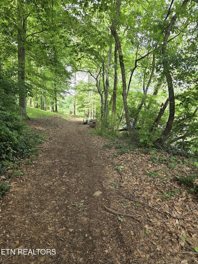 view of nature